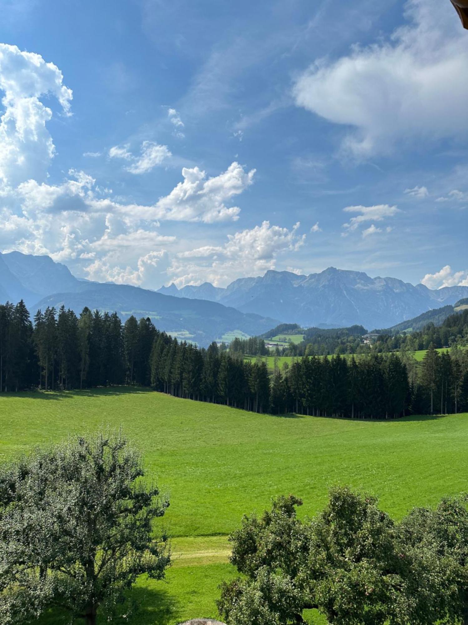 Frische Bergluft Und Laendlicher Charme - Ihr Aktiver Urlaub Am Muehlauhof Mühlbach am Hochkönig Exterior foto