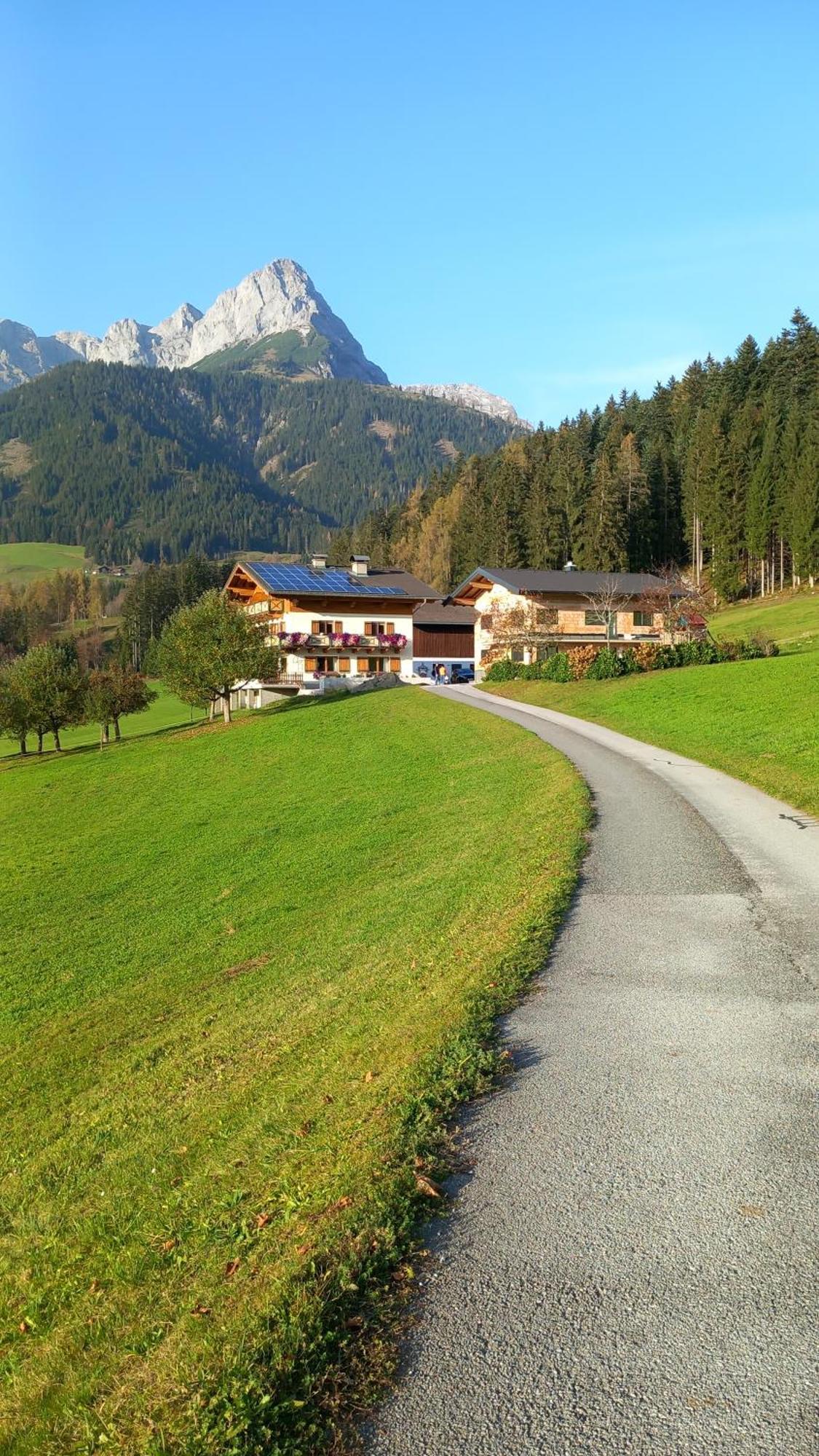 Frische Bergluft Und Laendlicher Charme - Ihr Aktiver Urlaub Am Muehlauhof Mühlbach am Hochkönig Exterior foto